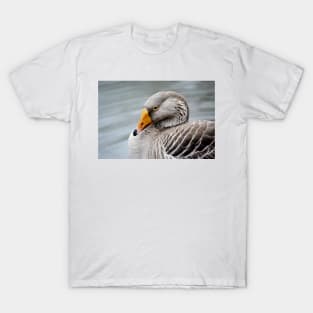 Greylag Goose T-Shirt